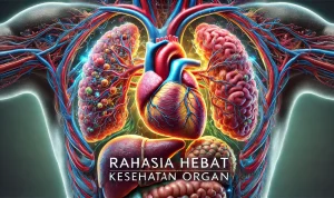Rahasia Hebat Kesehatan Organ Rahasia Hebat Kesehatan Organ